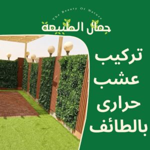 تركيب عشب حرارى بالطائف 